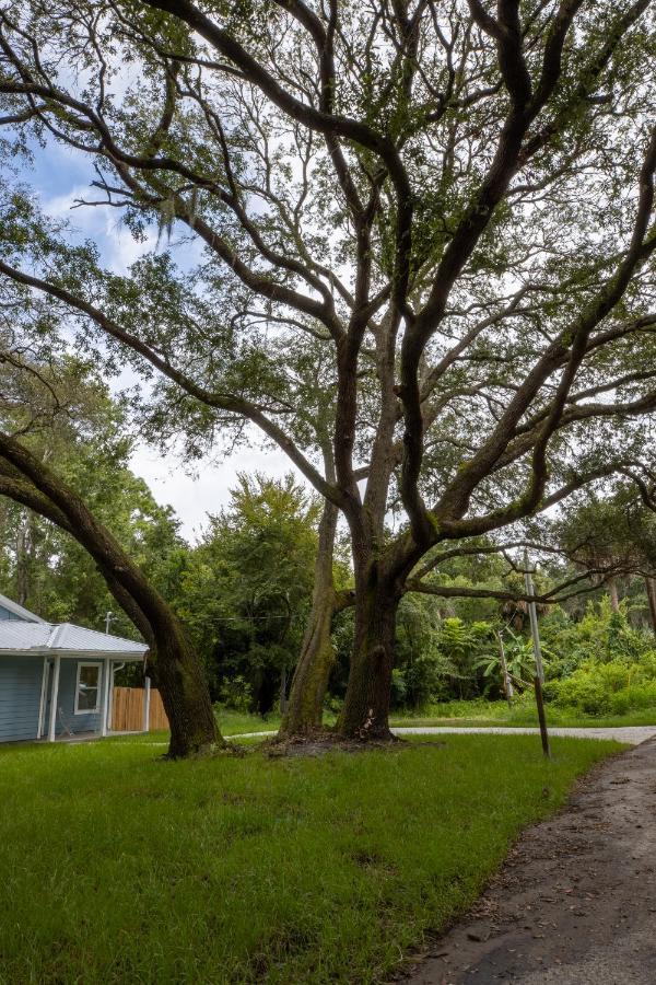 Recharge Getaway To Historic Downtown & Beach New Build St. Augustine Εξωτερικό φωτογραφία